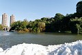 New York-0008